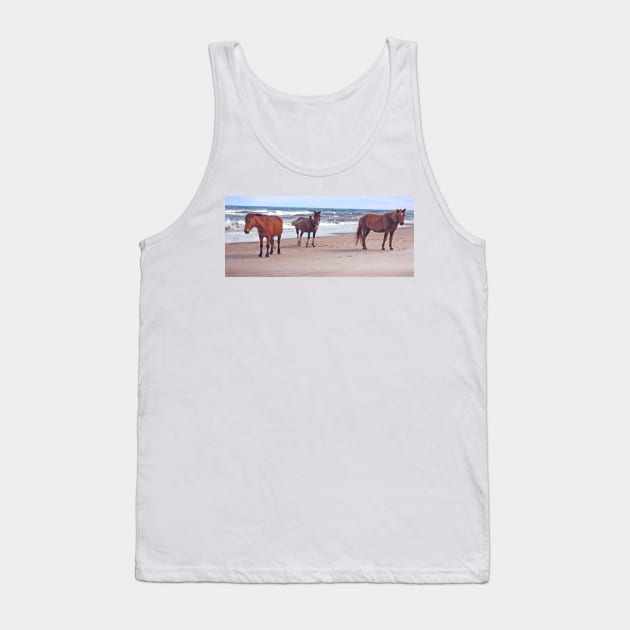 Wild horses, wildlife, A Trio of Beach Buddies Tank Top by sandyo2ly